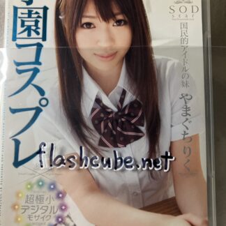 やまぐちりく 学園コスプレ×超極小デジタルモザイク 国民的アイドルの妹/管理A1