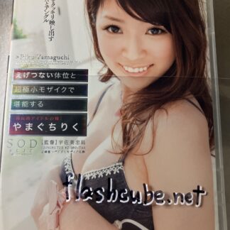 やまぐちりく えげつない体位と超極小モザイクで堪能する 国民的アイドルの妹/管理A1